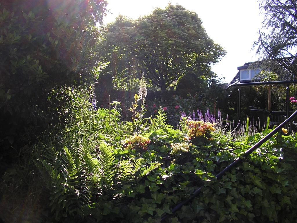 Walnut Bed & Breakfast 2*